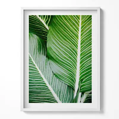 Tableau deco salon avec cadre feuilles vertes exotiques