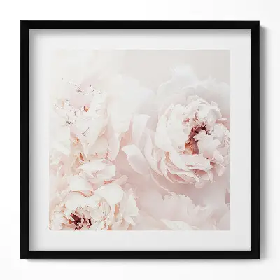 Tableau encadré fleurs de pivoine