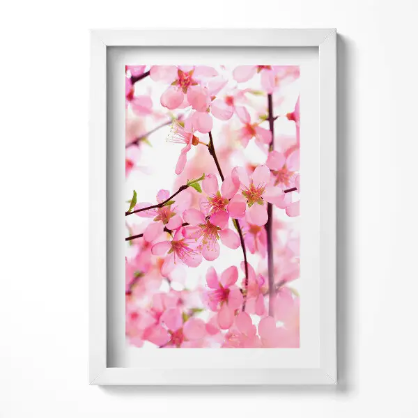 Tableau avec cadre Fleurs printanières roses sur les branches