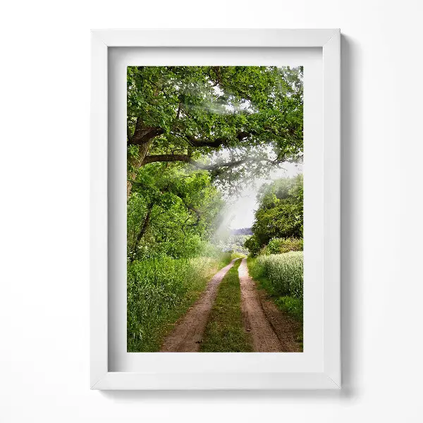 Tableau encadré Chemin, arbres et rayons du soleil