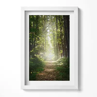 Tableau avec cadre Chemin forestier entre les arbres