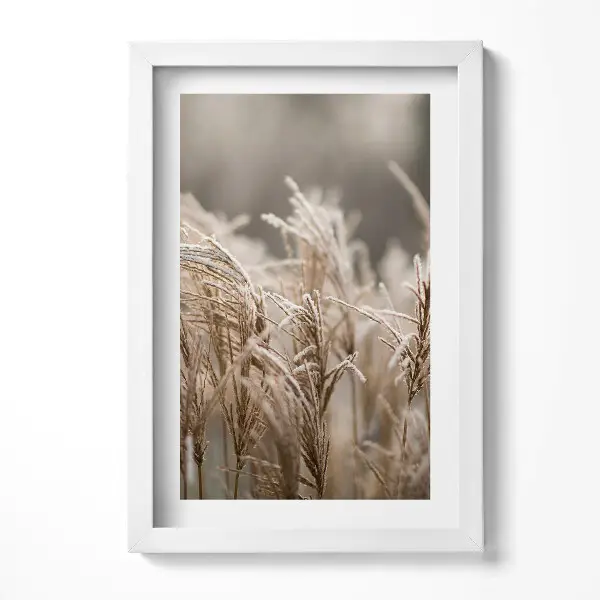 Tableau encadré herbes délicates bohèmes