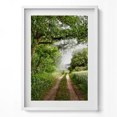 Tableau avec cadre Chemin, arbres et rayons du soleil