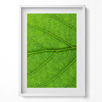 Tableau avec cadre nervures des feuilles vertes