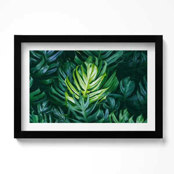 Tableau decoration avec cadre Nature tropicale - feuilles de monstera