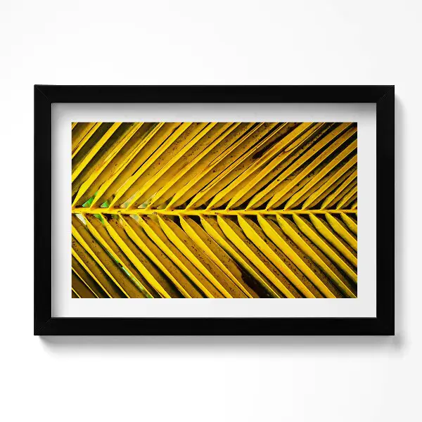 Tableau decoration avec cadre Les feuilles dorées de la plante