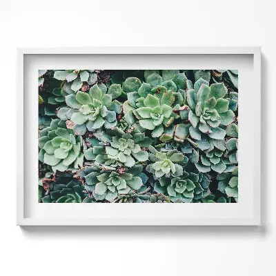 Tableau mural salon avec cadre plantes succulentes vertes