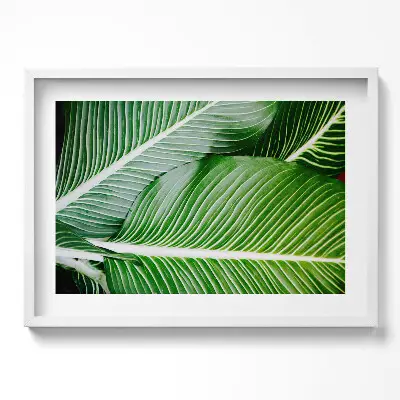 Tableau mural salon avec cadre feuilles vertes exotiques