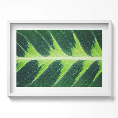 Tableau mural salon avec cadre Texture et nervures des feuilles
