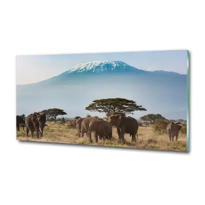 Tableau photo en verre « Éléphants du Kilimandjaro »