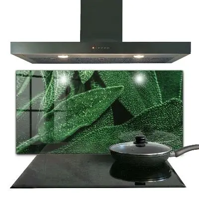 Crédence de cuisine en verre avec motif de feuilles vertes après la pluie
